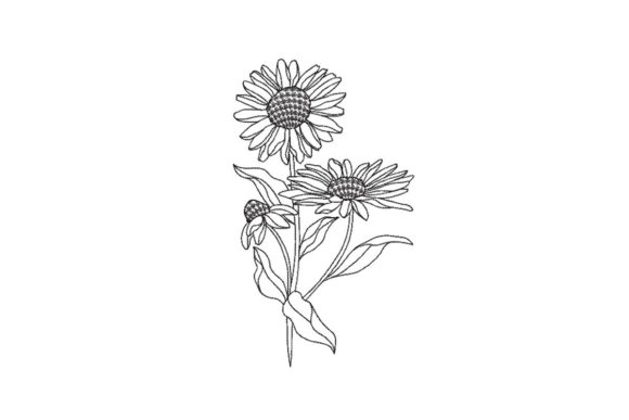 Chamomile