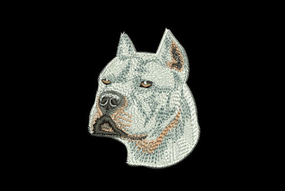 Pitbull